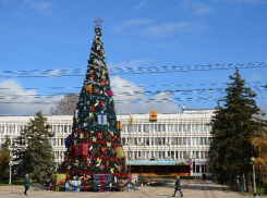 Новороссийская прокуратура запретила покупать новогоднюю ель за 6,7 млн рублей 