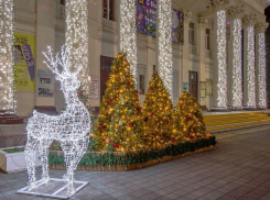 Новый год без массовых гуляний: какие развлечения ждут новороссийцев в праздники