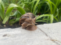 Погода в Новороссийске: дождевой марафон продолжается