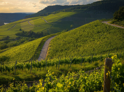 В Новороссийске есть чему удивиться: в России будут выбирать лучший туристический проект 