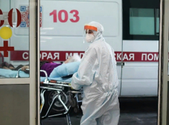 Коронавирус снова в Новороссийске: актуальные данные о зараженных