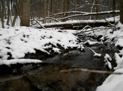 Прогноз погоды в Новороссийске обещает снег