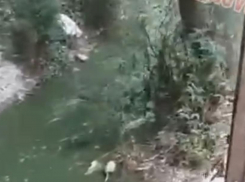 Не о таком отдыхе мечтали туристы: зеленая жижа сливается в море Новороссийска