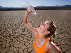 «Ну и сушняк!»: берегите головы и кожу - будет жарко