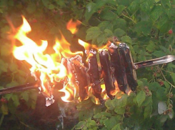 Шашлыки в лесах под Новороссийском могут слишком дорого стоить