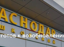 ФАС следит за ценами на авиабилеты в Краснодар 