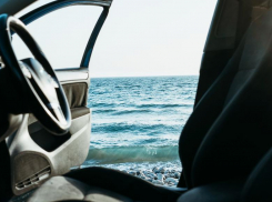 Рыбу в Новороссийске призвали быть осторожнее на дорогах