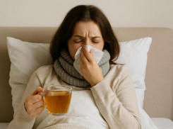 Предновогодняя волна простуд охватила Новороссийск: эпидемия или норма