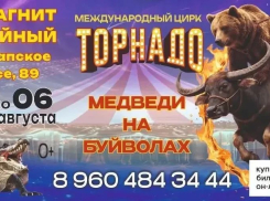 Цирк «Торнадо» - за гранью реальности: шоу в Новороссийске уже с самом разгаре! 