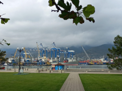  Погода в Новороссийске: облачно, ненадолго выглянет солнышко 