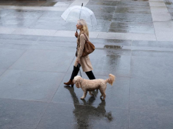 Погода в Новороссийске: начало месяца заливает нас небольшим дождём