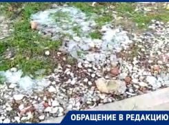 «Если ты видишь, тварь, что ты сделала…», - новороссийцы в бешенстве из-за действий своих соседей