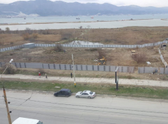 Возле Суджукской лагуны в Новороссийске строители сравняли вымирающие виды растений с землей