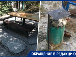 В приоритете игры для взрослых: история одного новороссийского двора