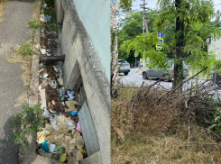 «Запустили центр!»: новороссийцы в шоке от грязи на улицах