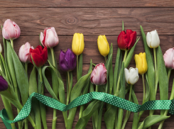 Ведь любовь ничего не стоит! В Новороссийске поймали особо «романтичного» афериста