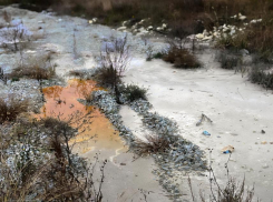 Свалка загрязнила почву в Геленджике: хром, натрий и кальций отравил территорию