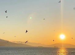 Синоптик предсказал августовскую погоду на Кубани — ждать ли новороссийцам жары