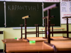 Ушли на карантин: из-за ковида закрываются сады и школы Краснодарского края