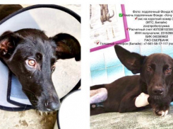 Клайд и Бонни из Новороссийска не ищут приключений, они ищут дом