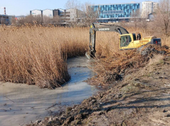 В Новороссийске начали реконструкцию «Южных прудов»: черепахи спят, уровень воды снизят