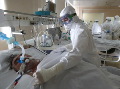 Более 17 тысяч человек за сутки заразились коронавирусом в России