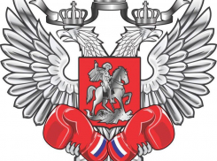  Боксёры приглашают новороссийцев на встречу