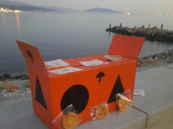 Сахарные соты из «Игры в кальмара» продают на набережной Новороссийска 