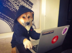 Верховный суд поддержал введение уголовной ответственности для треш-стримеров