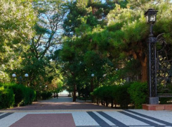 Погода балует комфортным теплом