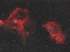 Роскосмос показал космические букеты в честь 8 Марта