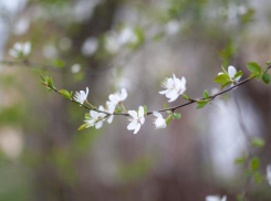 Погода в Новороссийске: природа вокруг начнёт ещё больше радовать глаз