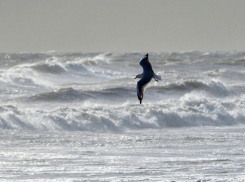 Как-то не май-месяц: о погоде в Новороссийске 1 мая 
