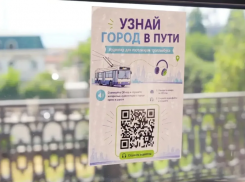 Глава Новороссийска нашёл в транспорте повод для гордости
