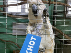 Единение с природой и урбанистический отдых: где новороссийцы могут отвлечься от новостей с пользой для души и тела