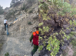 Пожар в Новороссийске мог стать трагедией: на горе задержаны «поджигатели»