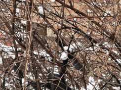 В Абинске рядом с частным домом нашли беспилотник 