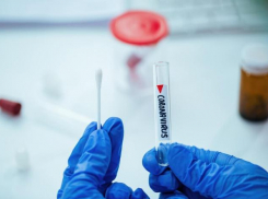 COVID-19 снова атаковал Новороссийск и Краснодарский край  