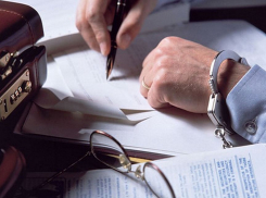 В УК РФ может войти статья за налоговое мошенничество 