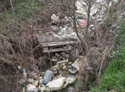 «Здесь не люди живут?»: новороссийцы жалуются на мусор, несмотря на субботники и отчеты чиновников