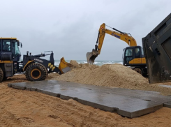 Волонтеры собрали тонны пальмового масла на черноморском побережье