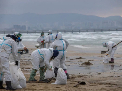 Повторение катастрофы: берег моря в Новороссийске покрылся мазутом после атаки ВСУ