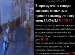 «Тема закрыта!»: участники конфликта с погибшей чихуахуа смогли договориться