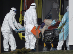 187 заражённых, 135 на ИВЛ: коронавирус на Кубани сегодня 