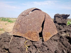 В память о страшных событиях войны: под Новороссийском нашли останки советских солдат 