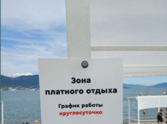 Сколько стоит лежак у моря в Новороссийске: выяснил «Блокнот»   