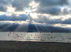 Гороскоп от «Блокнота»: у рыб неожиданности в личной жизни, а ракам лучше не тратиться 