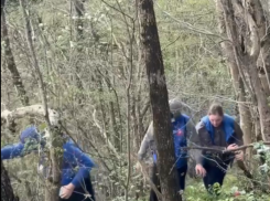 Не оставили надежду: в Туапсе продолжают искать пропавшую без вести девочку