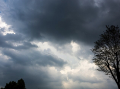 Погода в Новороссийске: в понедельник станет немного теплее 