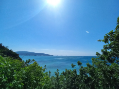 Погода в Новороссийске: ясное солнышко, но ветрено 